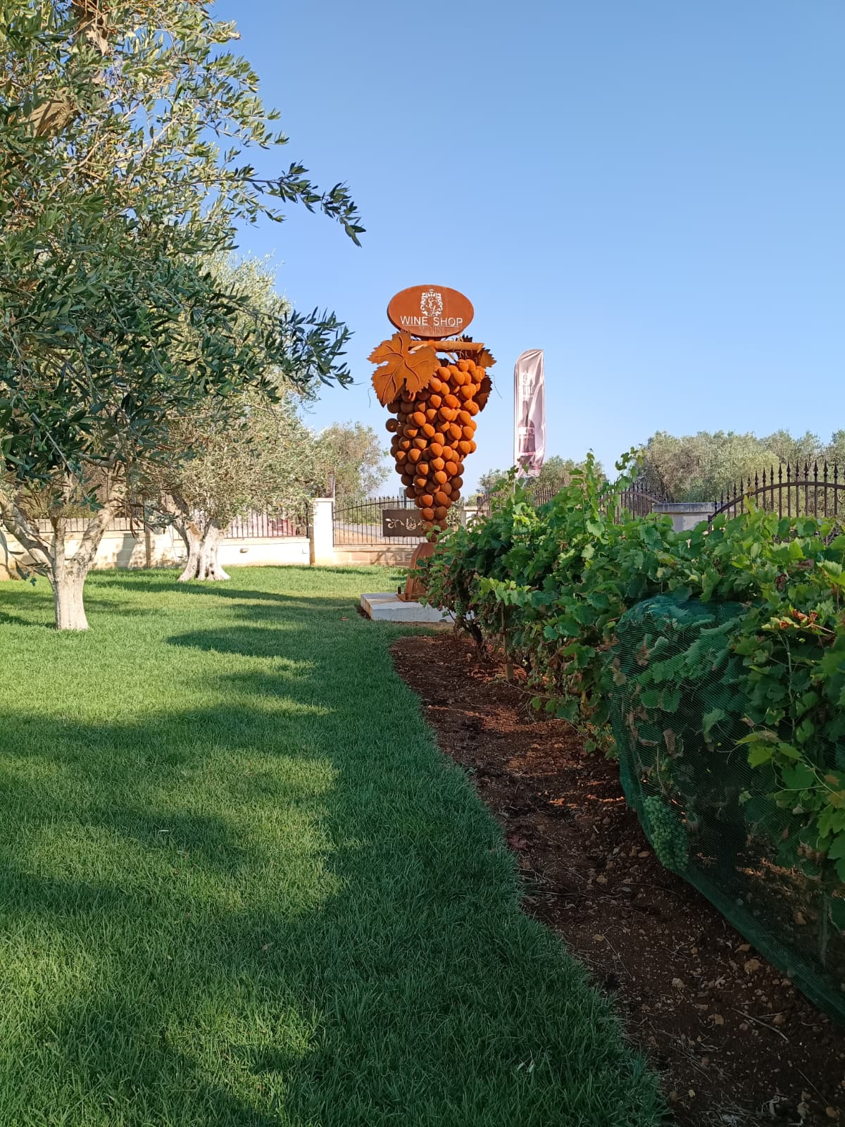 Esterno Wine Shop con scultura a grappolo d'uva